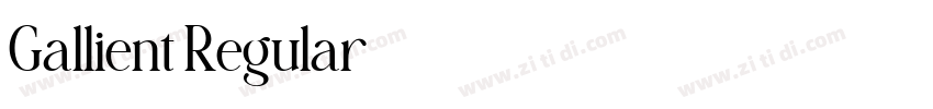 Gallient Regular字体转换